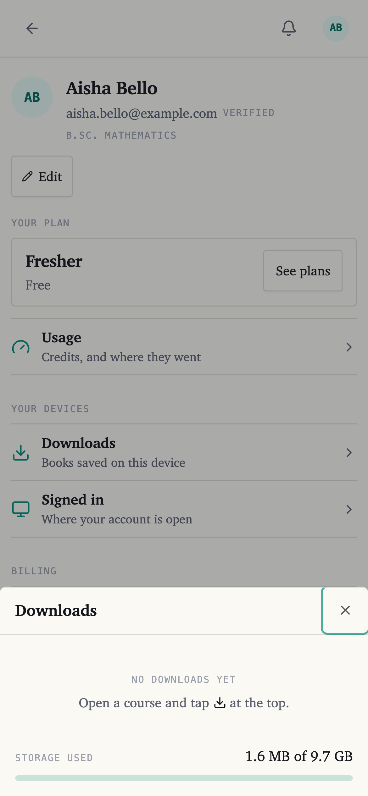 The Downloads sheet, listing what is saved on this device