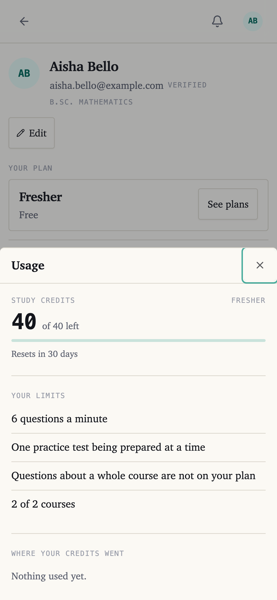 The usage screen, showing the credit balance